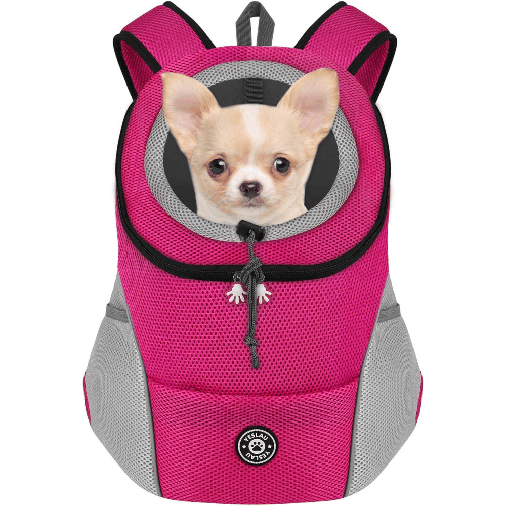 Make Your Travels Easier With These 5 Best Cat and Dog Carriers!