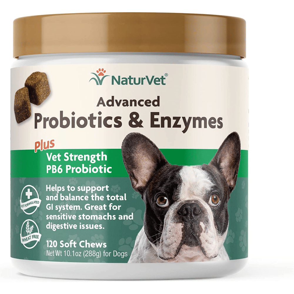 "Get a Happy, Healthy Pup: Best Probiotics For Dogs That Really Work"