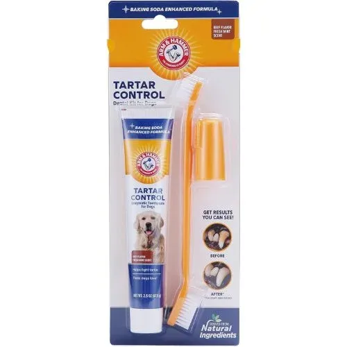 The Best Toothbrush For Small Dogs-Wagging Dental Care!